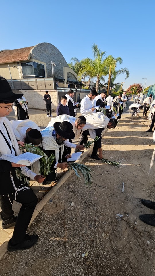 ravatar donate for israel rabbi netanel shriki fidf idf