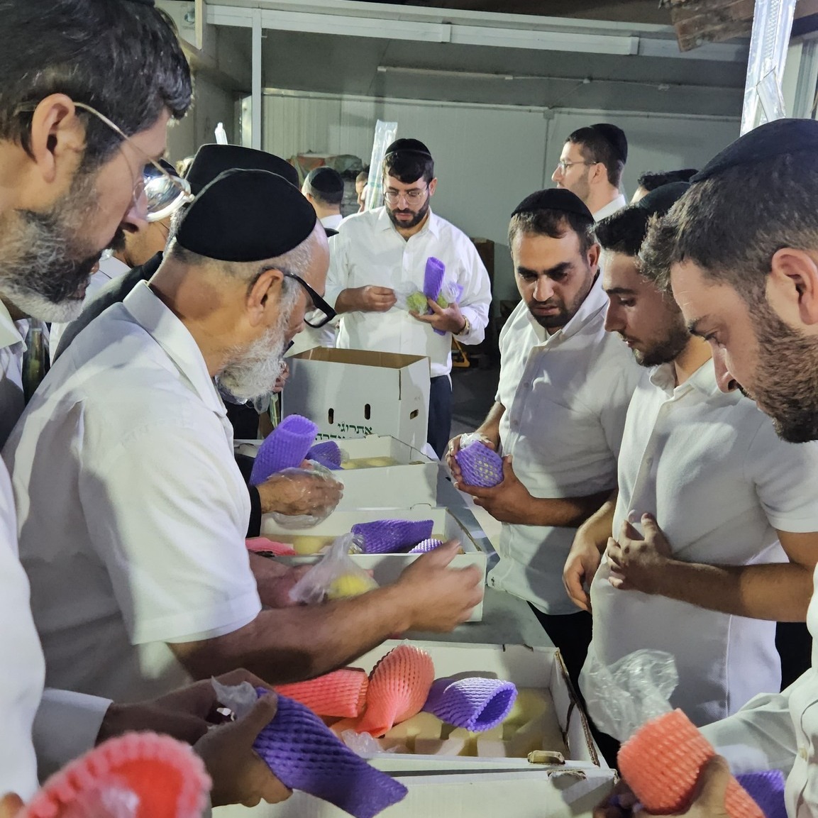 ravatar donate for israel rabbi netanel shriki fidf idf